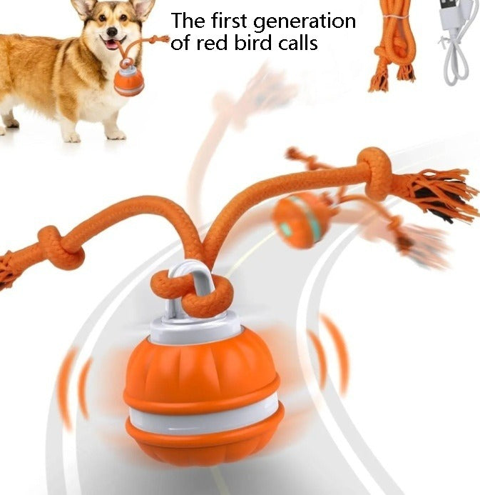Interactive USB Rechargeable Rolling Ball Toy for Dogs & Cats – Automatic Movement, Multiple Colors