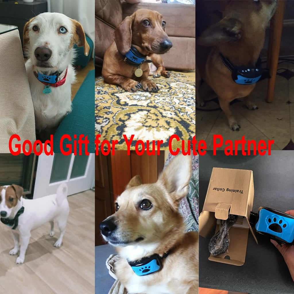 Ultrasonic Anti-Bark Dog Training Collar – USB Rechargeable, Humane, Vibration & Ultrasonic