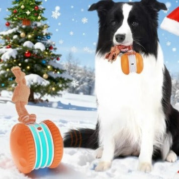 Interactive USB Rechargeable Rolling Ball Toy for Dogs & Cats – Automatic Movement, Multiple Colors