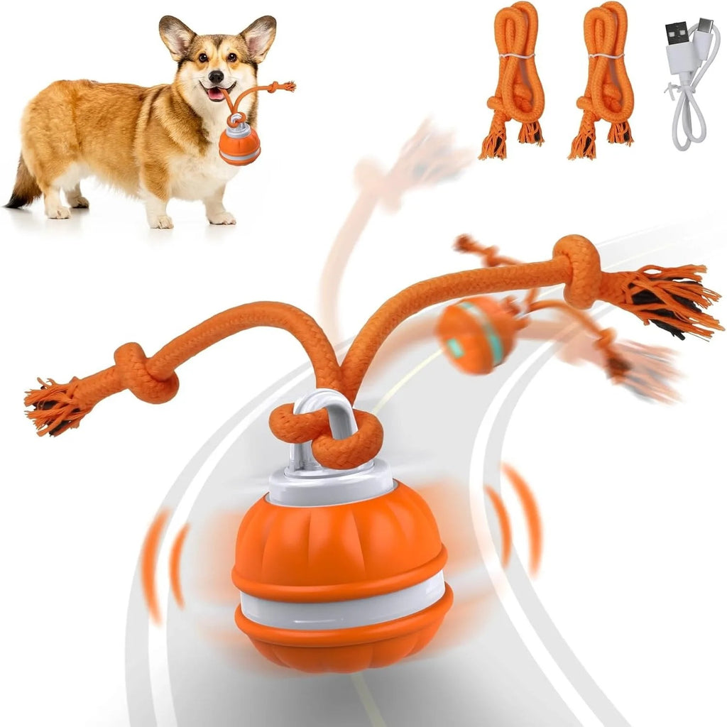 Interactive USB Rechargeable Rolling Ball Toy for Dogs & Cats – Automatic Movement, Multiple Colors