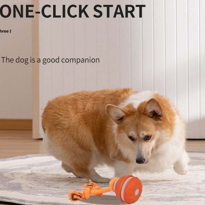 Interactive USB Rechargeable Rolling Ball Toy for Dogs & Cats – Automatic Movement, Multiple Colors